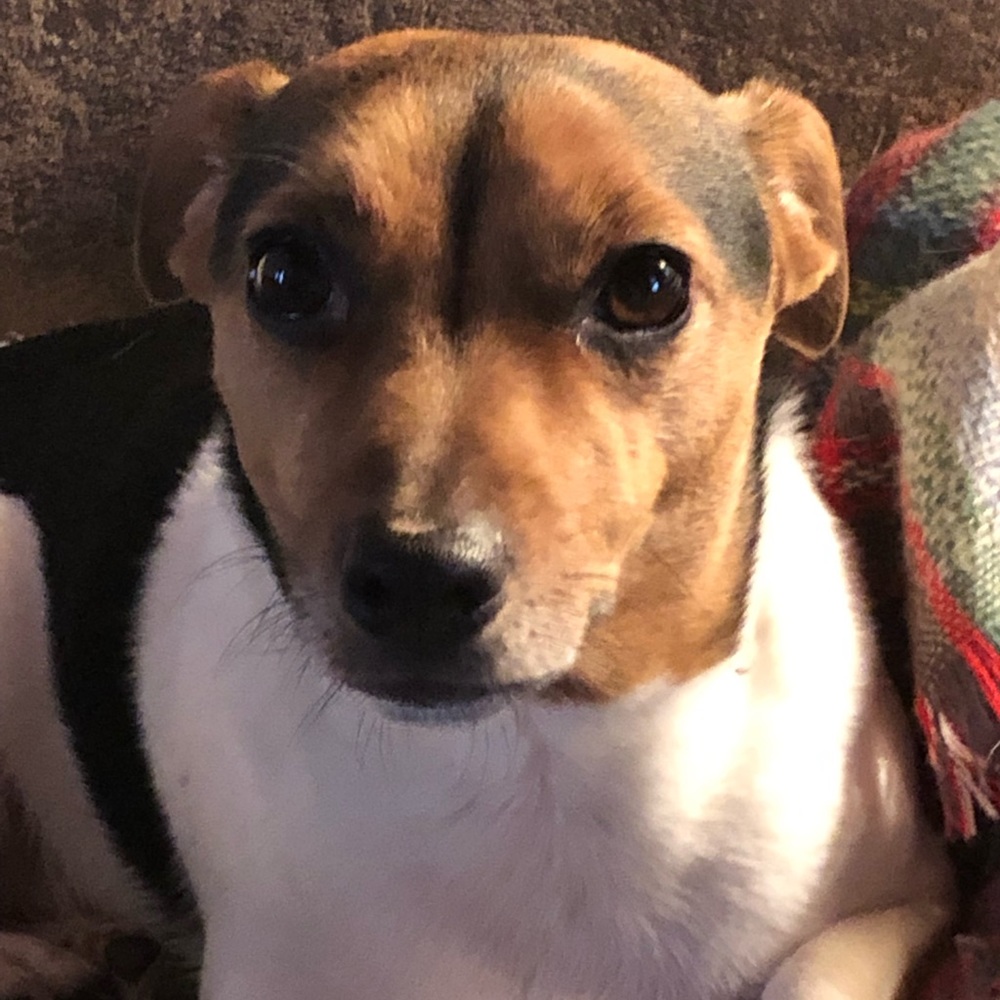 Meet your Posher, Sherri